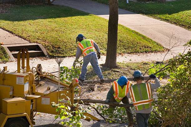 Cordry Sweetwater Lakes, IN  Tree Services Company